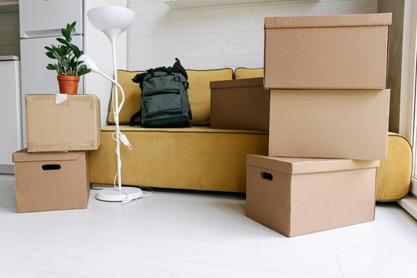 Explorez les canapés convertibles haut de gamme pour décorer votre maison