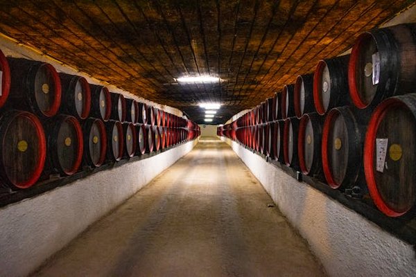 Trouvez le revêtement de sol parfait pour élever le style de votre cave à vin !