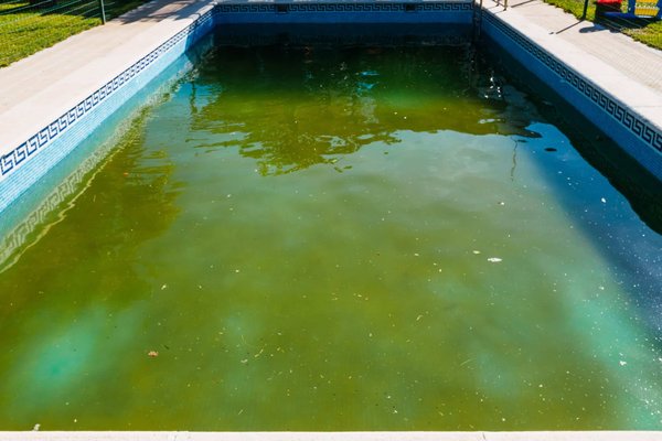 Installation d'une piscine intérieure : le guide complet