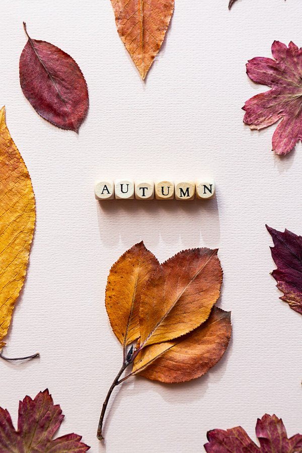 Affiche automne : transformez votre déco avec des couleurs chaudes